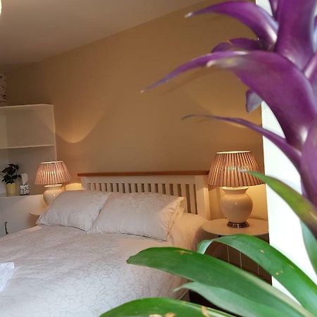 شقة Glenbower House كورك المظهر الخارجي الصورة